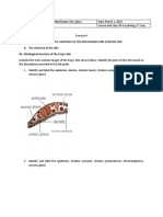 Exercise 4 Answer Sheet Bio 2206L - Chiong and Marifosque