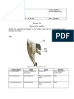 Exercise-7D - Answer Sheet Group-3