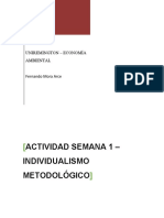 Individualismo Metodo