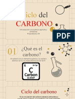 Ciclo Del Carbono