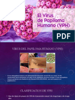 Diapositivas Virus Del Papiloma