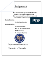 Environment Economics Assignment