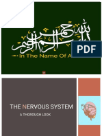 The Nervous System