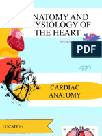 Anatomia Del Corazon