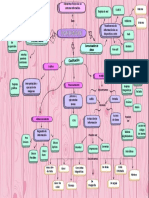 Mapa Conceptual Hardware Prueba