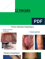  Dermato PDF 