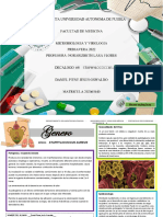 Decalogo 8 Staphylococcus Aureus