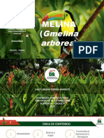 Gmelina