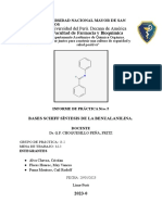 Informe RAE 2