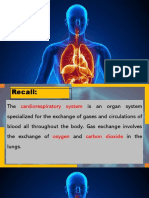 Science 6 Q2 Week 4+-+Nervous+System