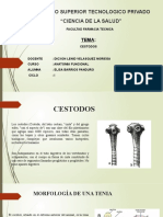 Cestodos - Ok23