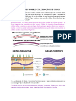 Cópia de ATIVIDADES SOBRE COLORAÇÃO DE GRAM