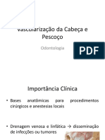 Vascularização Da Cabeça e Pescoço