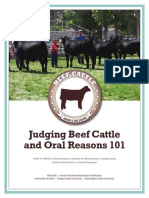 Beef Judging