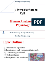 Unit 1 - Introduction To Cell