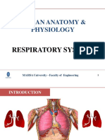 Unit 7 - Respiratory System