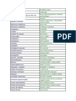 Vocabulario 1