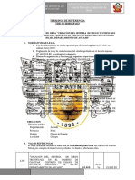 TDR Monitor Obras Chavin