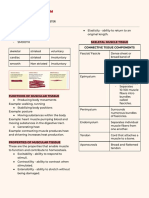 Anaphy Muscular System Notes