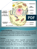 Cell