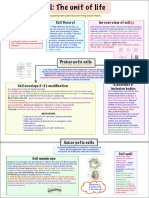 Cell - The Unit of Life Mind Map