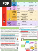 Tipos de Empresas