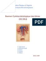 Examen Cytobacteriologique Des Urines IPA