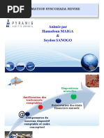 Support de Formation SYSCOHADA Revisé