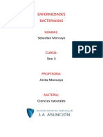 Enfermedades Bacterianas