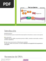 Exposicion Del Operon de Lactosa Eq.7