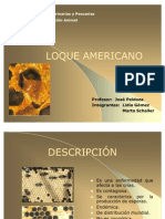 Loque Americano 2002