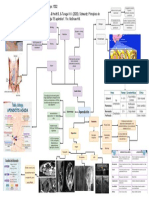 Apendicitis Mapa Mental