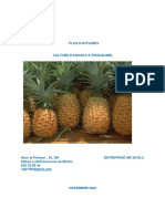 Plan D'affaires - Culture D'ananas - APIP