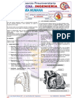 Aparato Cardiovascular