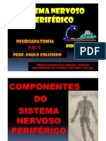 (Microsoft PowerPoint - SISTEMA NERVOSO PERIFÉRICO 1 (Modo de Compatibilidade) )