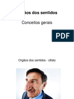 TAFAC1 Orgãos Sentidos