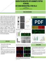 Chirea Teodora Poster Examinare Strategia Cercetarii