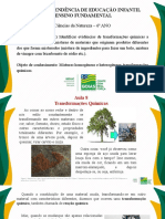 Aula 8 - 6º CN - Transformações Químicas