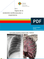 SEMINARIO 4 Aplicacion RX de La Anatomia CV y Respiratoria