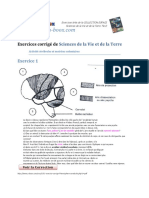 Exercices Activites Cerebrales Et Motrices Volontaires