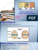 Sem04 - Tejidos Conectivos Especializados I. Tejido Cartilaginoso