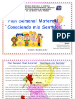 Zoraya Planificacion Semanal Maternal1