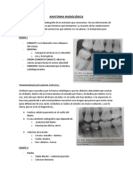 03-20 Anatomia Radiológica