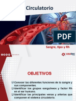 Sistema Circulatorio Parte 2 - Sangre, Tipo y RH