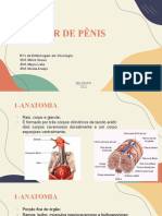 Aula Ca de Penis