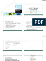 Metabolic Pathways