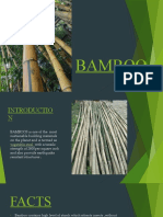 Bamboos PPT 8