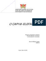 O Capim-Elefante: Universidade Federal de Viçosa Centro de Ciências Agrárias Departamento de Zootecnia