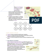 Digestão Intracelular