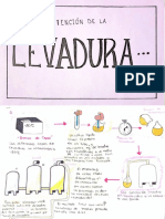 Levadura